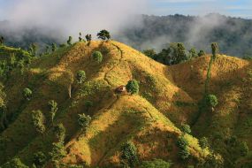 Bangladeš-Hribovita pokrajina okoli Bandarbana