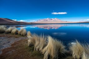 Bolivija-Altiplano