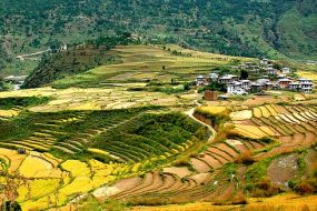 Butan-rodovitne doline Butan-rodovitne doline