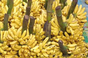 Ekvador-Otavalo-tržnica banan