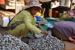 Kambodža Batambang bazar Kambodža Batambang bazar