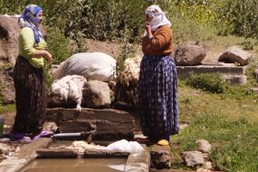 Vzhodna Turčija-perice