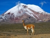 Ekvador-Chimborazo