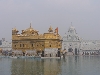 IMG_2217_4_1.JPG