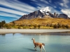 Argentina-Torres del Paine-gvanako prečka reko