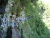 Madeira-Levada Calderao verde