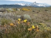 2-Fitz Roy