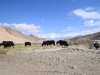 svilena-cesta-kitajska-karakorum-highway