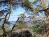 Tanzanija