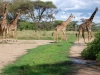 Tanzanija