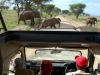 Tanzanija
