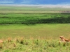 Tanzanija