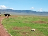 Tanzanija