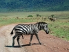 Tanzanija