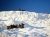 Zahodna Turčija-Pamukkale