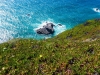 12-Portugalska-Cabo da Roca-hotentotska figa in Atlantik