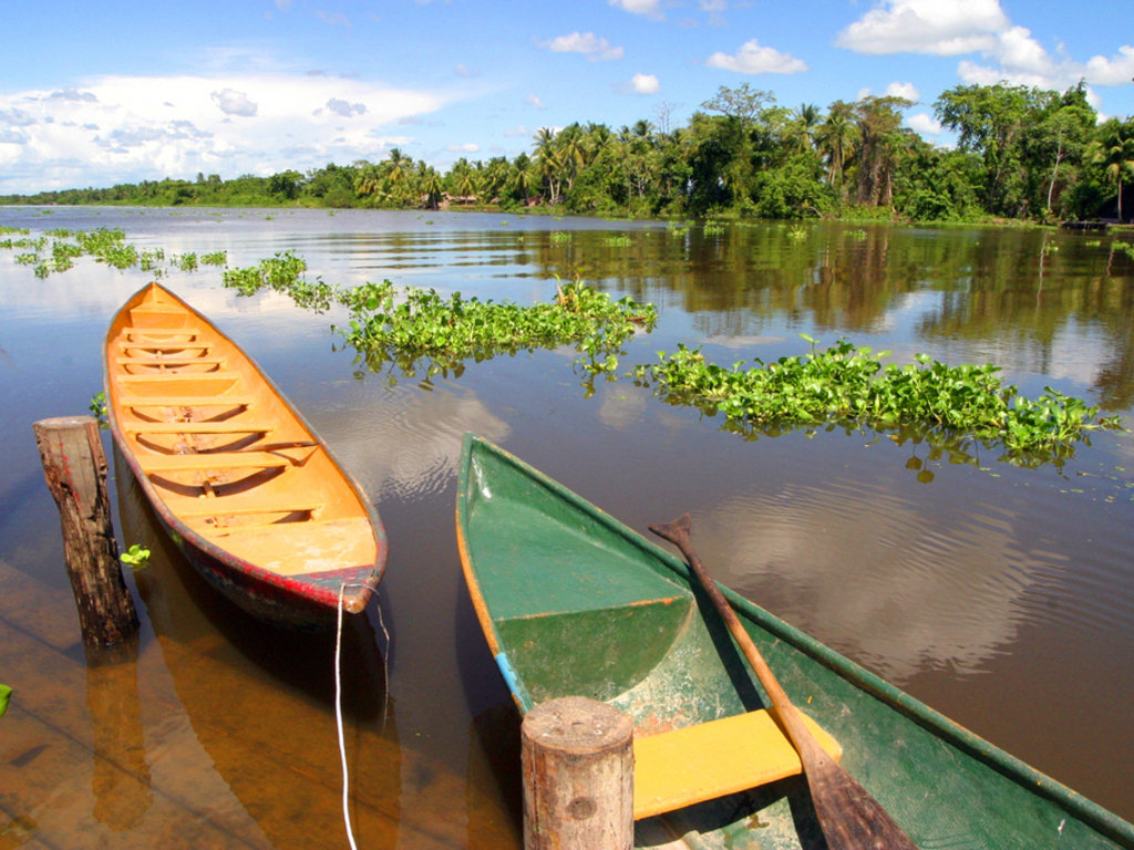 Delta Orinoco je znana kot venezuelske Benetke.