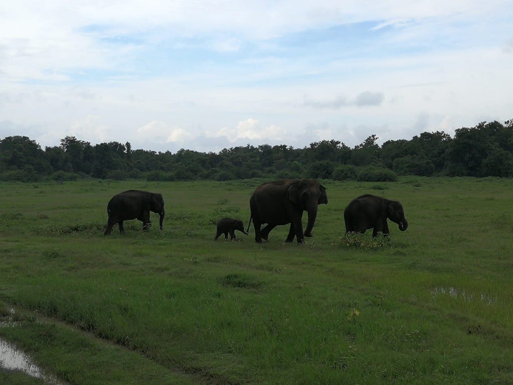 Šrilanka
