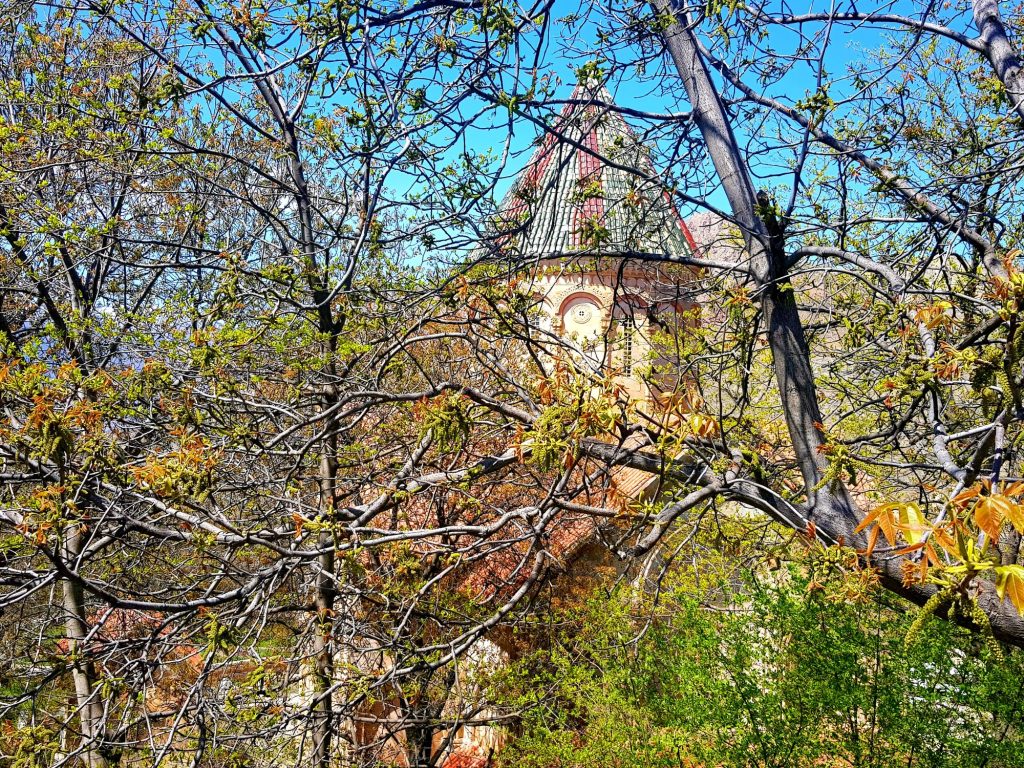 Bodite prvi - vsrkajte bistvo