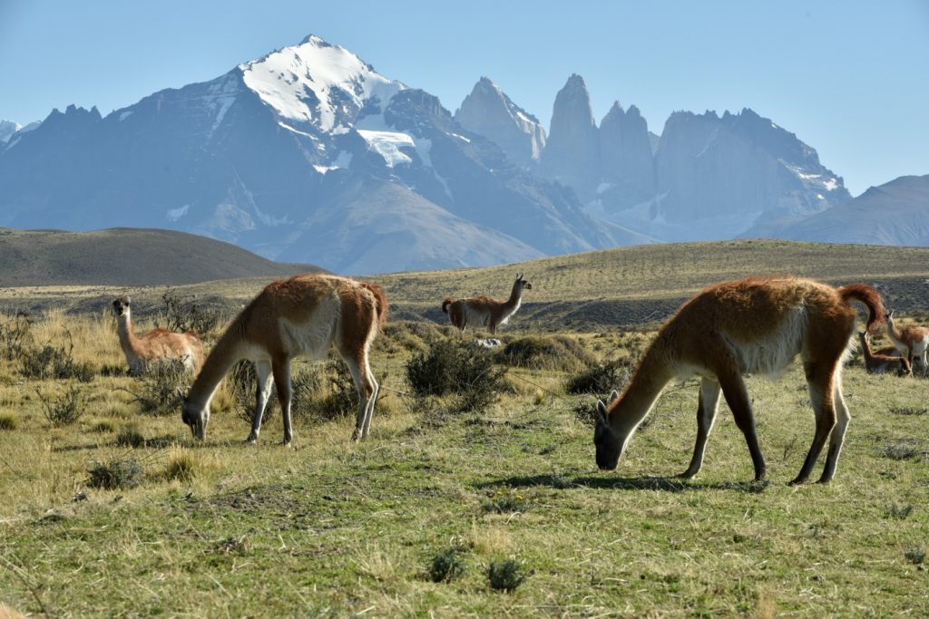 Argentina in Čile