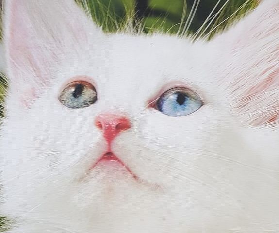 Bodite prvi - vsrkajte bistvo