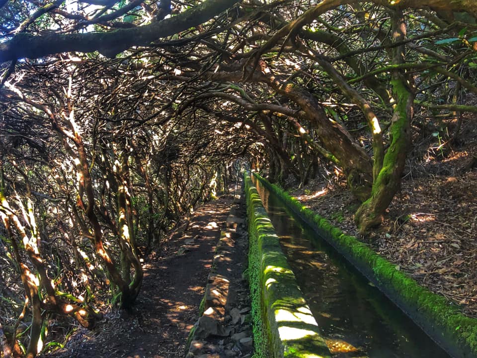 Madeira