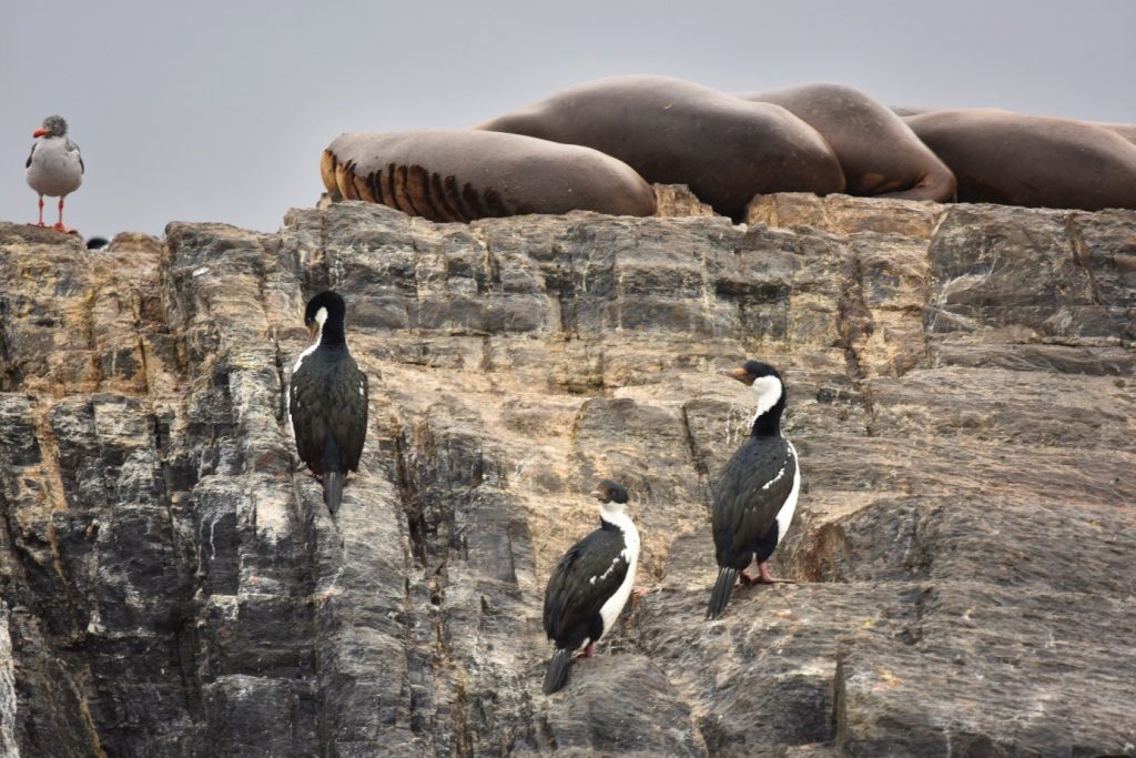 Malce tihožitja iz ognjene zemlje
