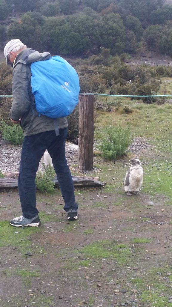 TRI METRE STRAN JE REKEL