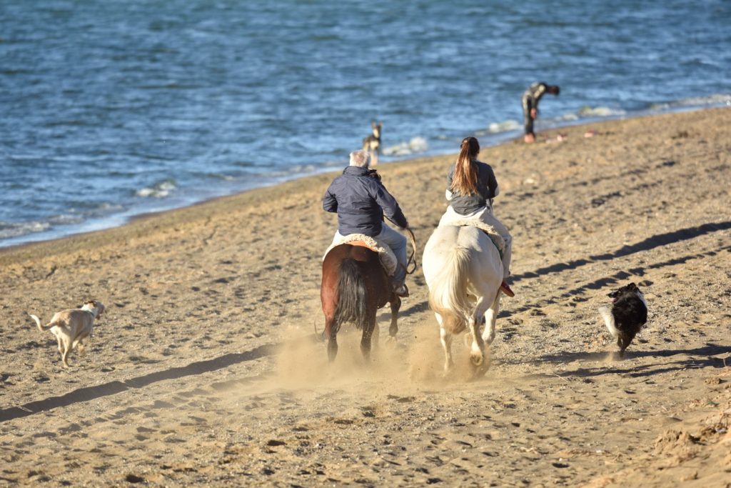 MALO AKCIJE NA PLAŽI