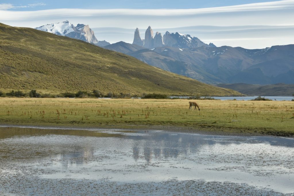 ŠE EN ČILENSKI GVANAKŠE EN ČILENSKI GVANAK