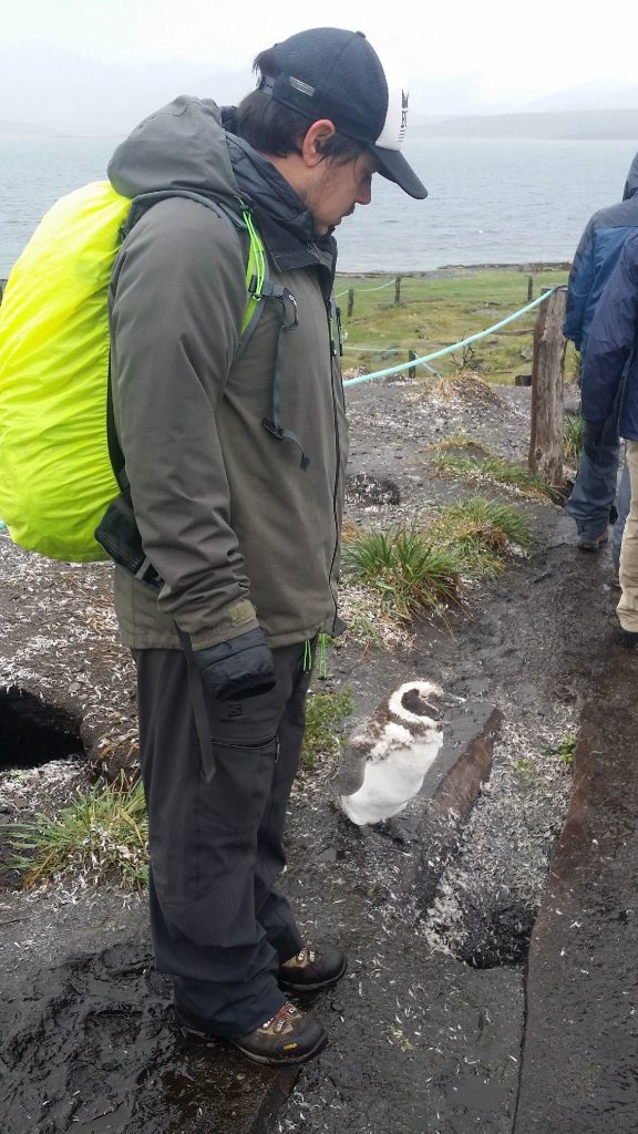 ŠE VODIČU NI USPELO SLEDITI LASTNIM NAVODILOM.