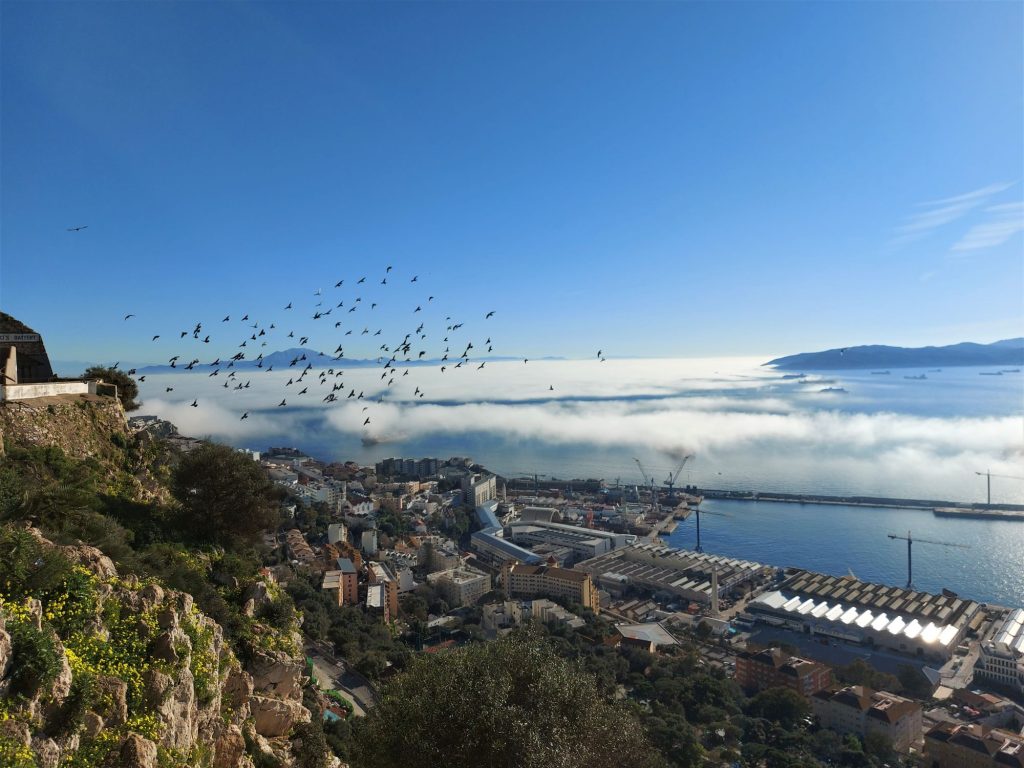 Sončni razgled na gibraltarsko pristanišče