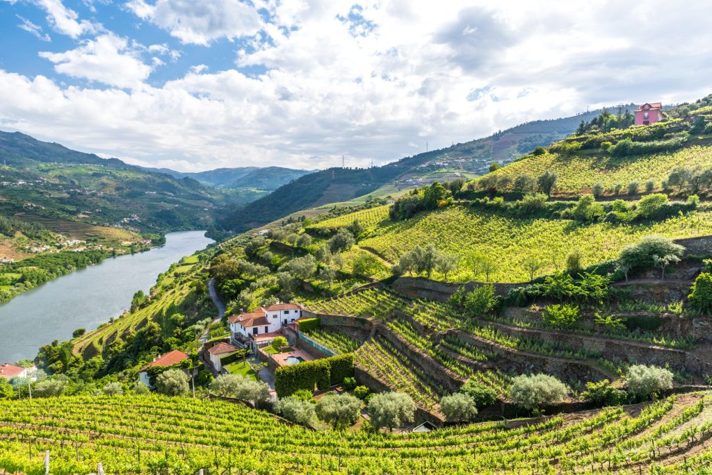 Portugalska - dolina Duoro