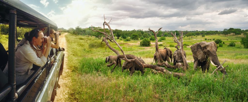 Družina na safariju