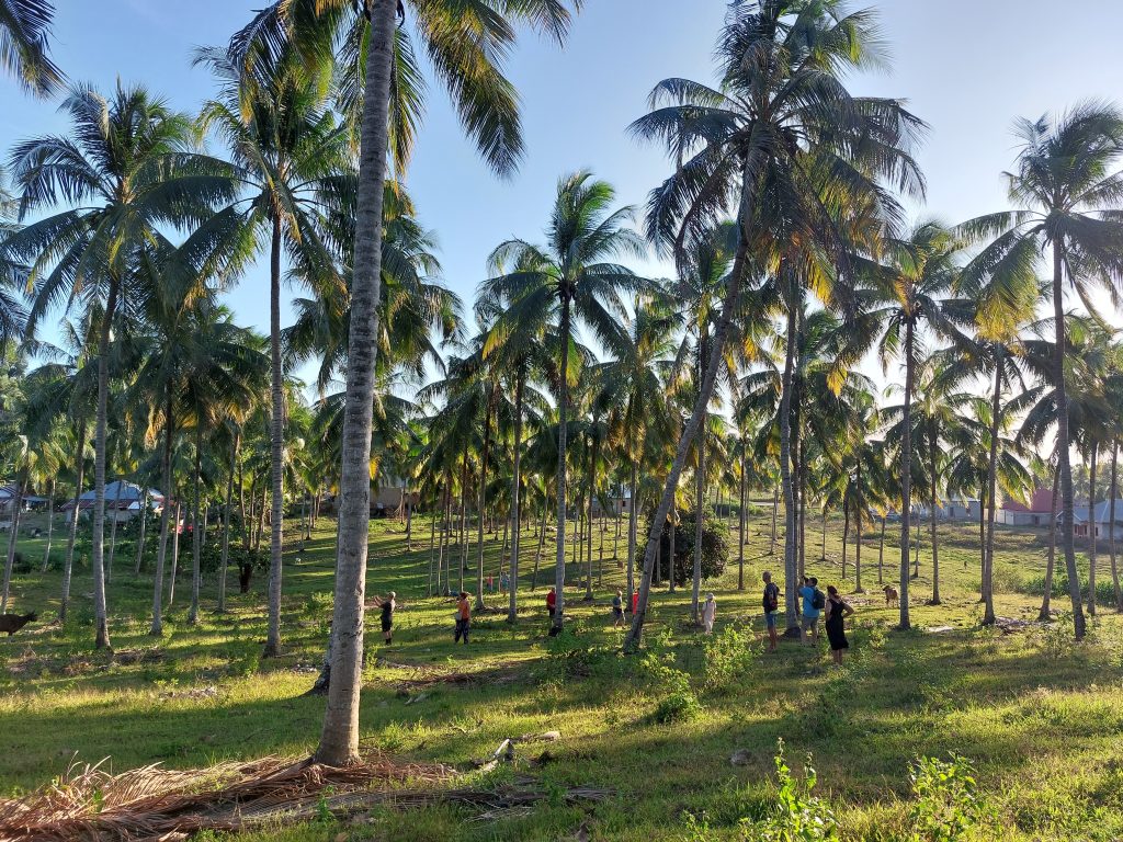 Indonezija - Sulawesi