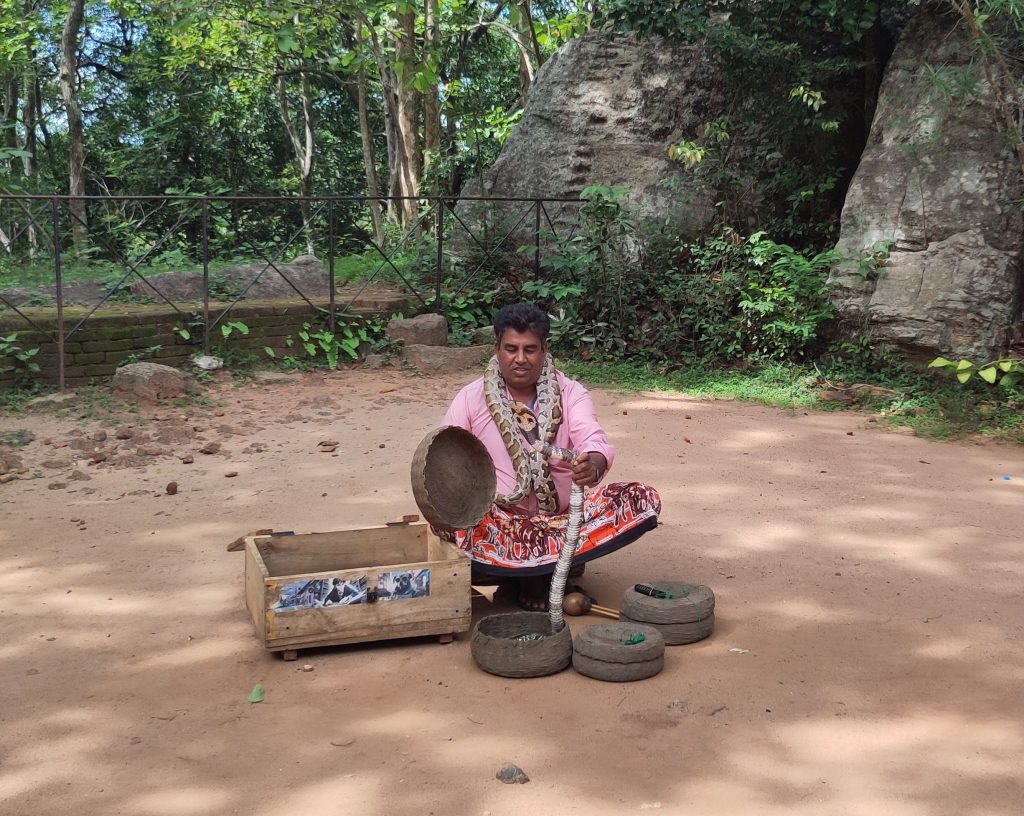 Šrilanka, Sigiriya- krotilec kač