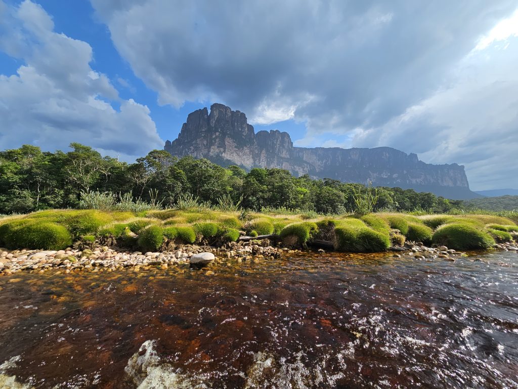 Venezuela-Doživeta Venezuela-Taupuji so zaščitni znak dežele