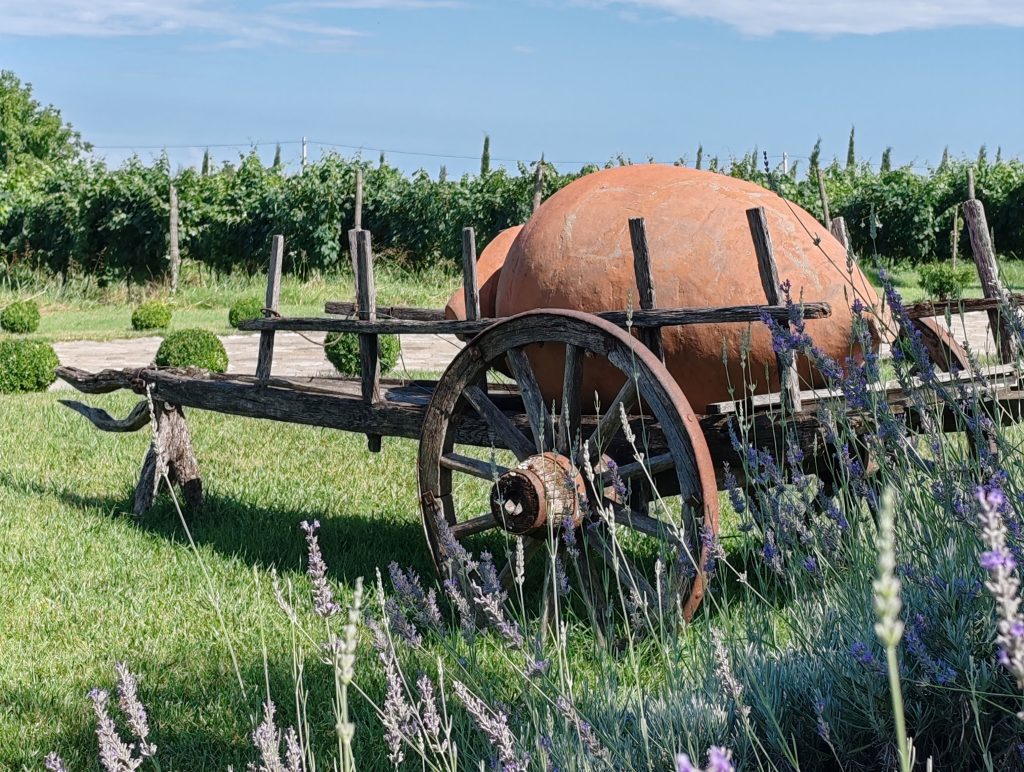 Kvevri, Kakheti, Gruzija