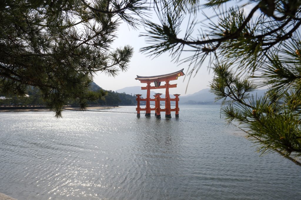 Japonska -Miyajima -tori