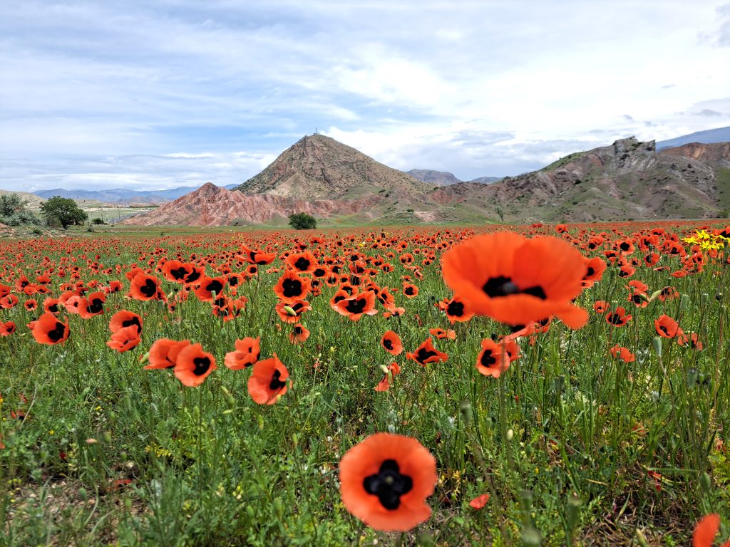 V Turčija - pokrajina