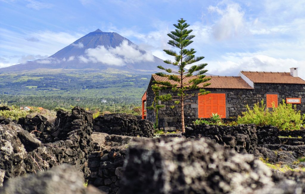 Stone-built house with orange shutters beside a lava-rock wall, a tall pine in the foreground, and a distant volcano under a bright blue sky.