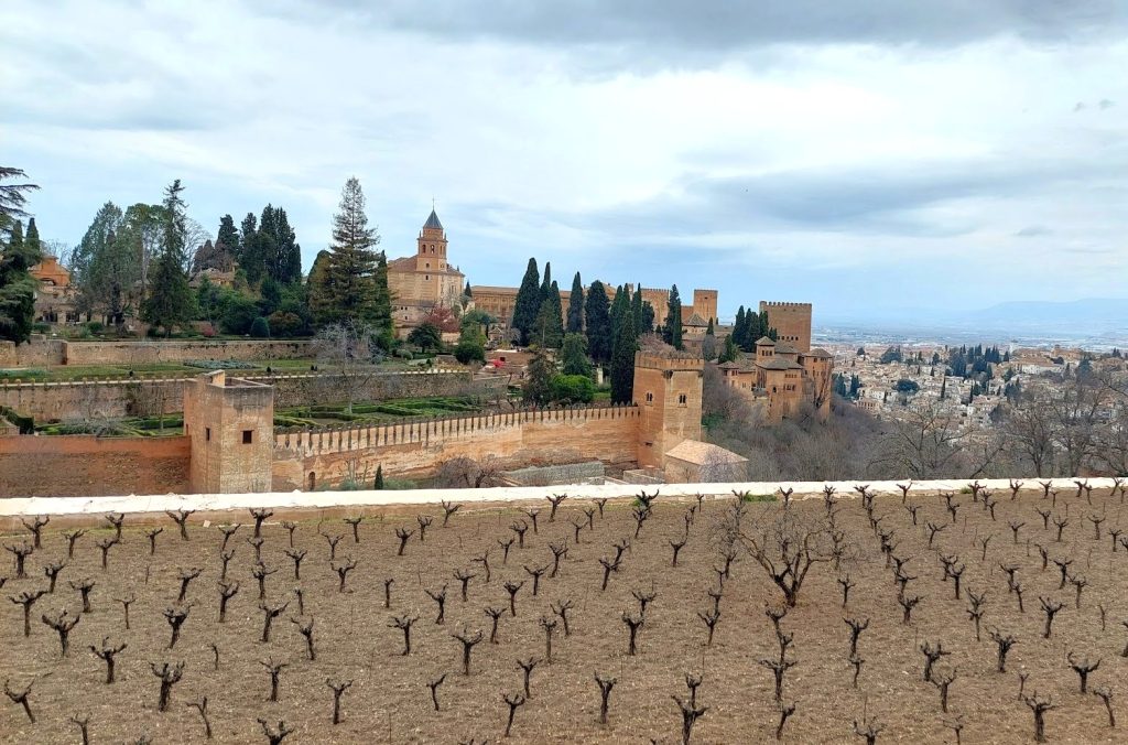 Hilltop fortress with towers and red-brick walls overlooking a distant city, seen from a bare vineyard in the foreground.