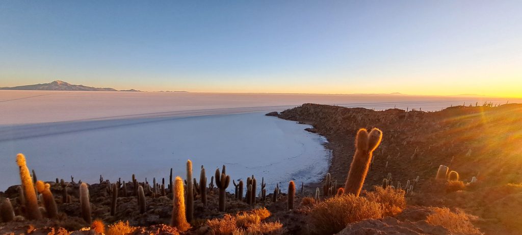 Sunset over a desert landscape with cacti in the foreground, a rocky ridge, and a salt flat toward distant mountains.