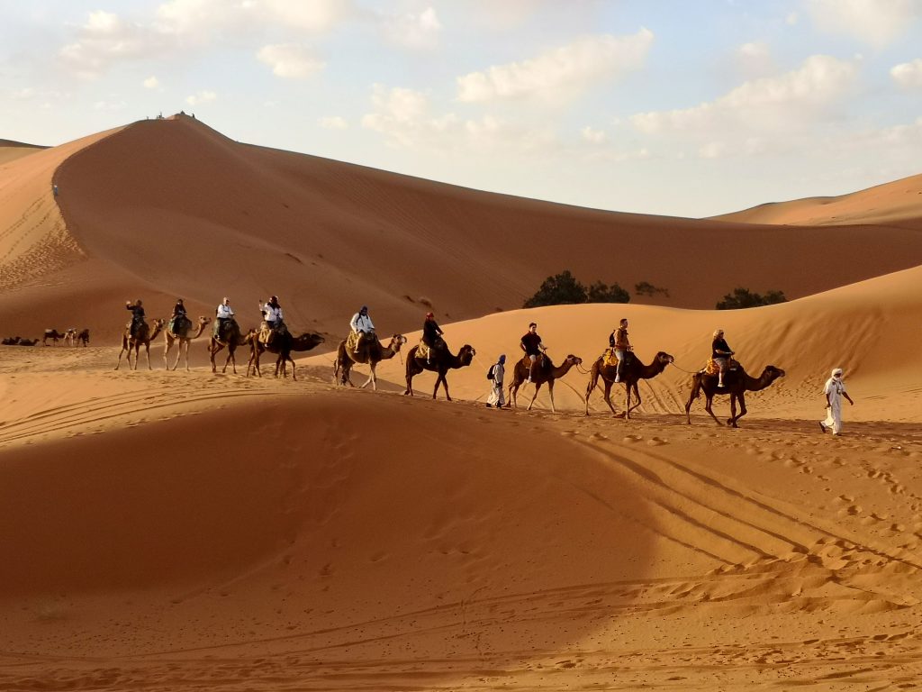 Caravan of people riding camels across a sandy desert with large dunes under a pale sky, some bushes in the background.