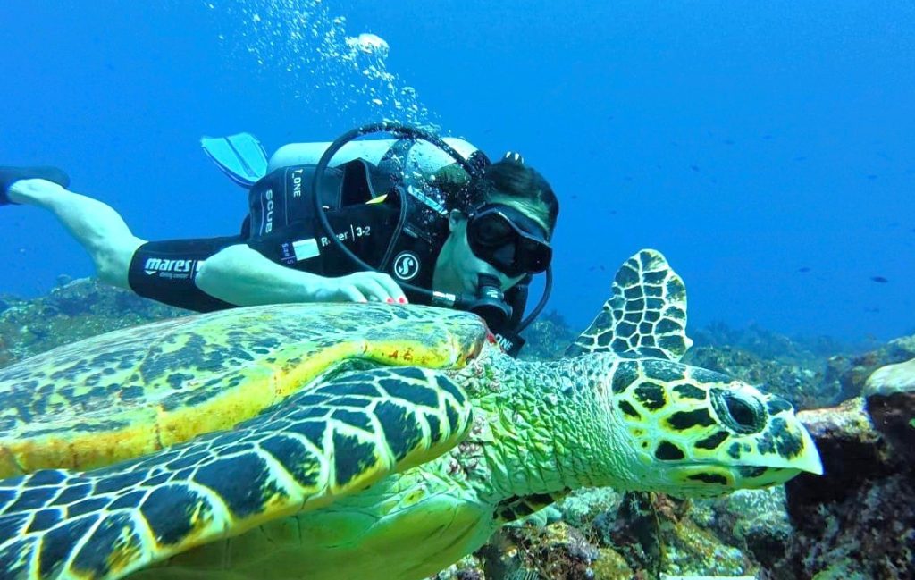 Nežne popotnice oceanov – zelene morske želve v Indoneziji