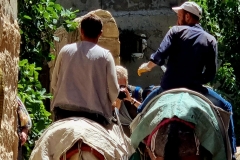 Vzhodna Turčija. Mardin. Mule so boljši prevoz od osličkov. Ker drugega v ozkih srednjeveških uličicah ni.