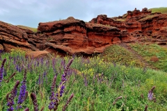 Vzhodna Turčija. Česar na potovanju nimate, tega ne potrebujete.