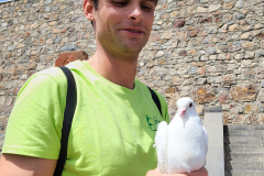 Golobček za srečo