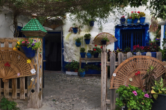 Andaluzija-Cueva-dvorišče jamske hiške-Sacromonte-Granada