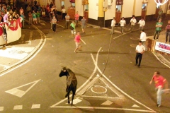 Azori-Ulična bikoborba Tarceira-Primi me za rogove, če si upaš.